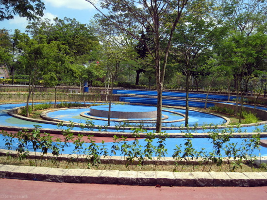 Blk 120C Rivervale Drive (Sengkang), HDB Executive #290802